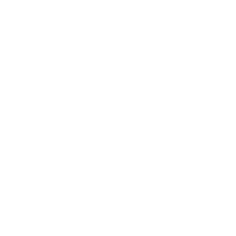 Bullguer