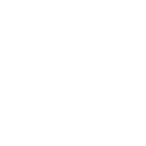 Pauls Boutique